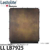 Lastolite LL LB7925 EzyFrame 背景用カバー 2x2.3m オリーブ 【送料無料】 | 写真屋さんドットコム
