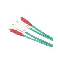 EXFORM COLOR TWIN CABLE 2RR-3.0M (RCA-RCA 1ペア) 3.0m (GREEN) | 渋谷イケベ楽器村