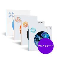 iZotope 【クロスグレード版】Elements Suite (V8) from any paid iZo product(オンライン納品)(代引不可) | 渋谷イケベ楽器村