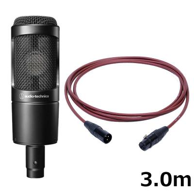 Audio-Technica AT2035 (ケーブル等付属) audio-technica AT2035 コンデンサーマイク アームスタンド ポップ