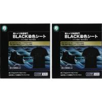送料無料　２個セット　黒シャツ洗濯専門BLACK染色シート 16枚入　寿衛材 | 仕入れの味方