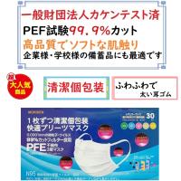 マスク　１枚ずつ清潔個包装　快適プリーツマスク　　レギュラーサイズ　３０枚入　箱 | 仕入れの味方