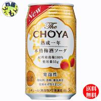 チョーヤ ザ・チョーヤ　The CHOYA　熟成一年　本格 梅酒ソーダ 350ml×24本 1ケース 24本 | 四国うまいもんや Yahoo!店