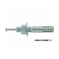 サンコーテクノ オールアンカー Cタイプ スチール製 C-1210 M12×100 (30本入り) | 電動工具・大工道具のShima Dougu