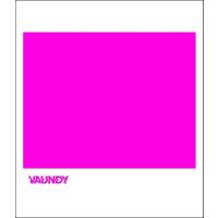 CD Vaundy／strobo ／ ジェスフィール(ビクター) | 島村楽器 楽譜便