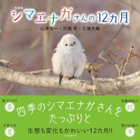 シマエナガさんの12カ月 新装版 ／ 河出書房新社 | 島村楽器 楽譜便