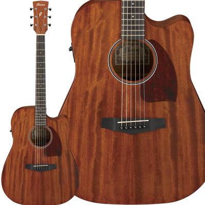 ibanez エレアコのおすすめ人気商品一覧 通販 - Yahoo!ショッピング