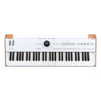 ARTURIA アートリア ASTROLAB 61鍵盤 シンセサイザー ステージキーボード | 島村楽器Yahoo!店