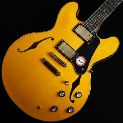 セミアコベース（エレキギター、セミアコ、フルアコ本体）｜ギター