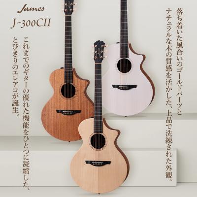JAMES j500（ジェームス／アコースティックギター、クラシックギター