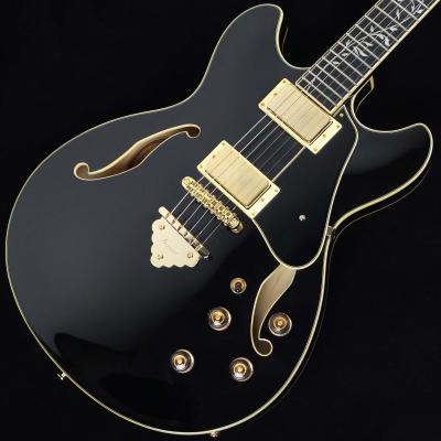 アイバニーズ セミアコ（ギター）｜楽器、器材 | 楽器、手芸