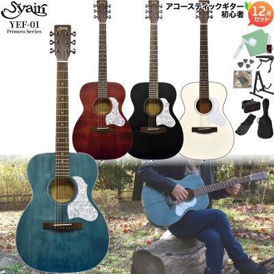アコギ ペグ（S.Yairi）のおすすめ人気商品一覧 通販 - Yahoo!ショッピング