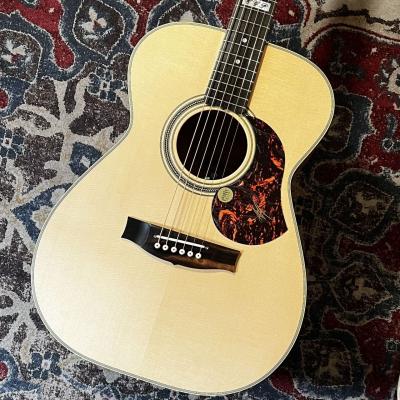 maton 808（アコースティックギター、クラシックギター本体