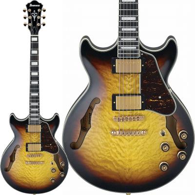 ibanez エレキギター 1443.jpg