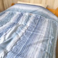 高島ちぢみ 肌掛け布団 ストライプ BL BE 日本製 高島ちぢみ 涼感素材