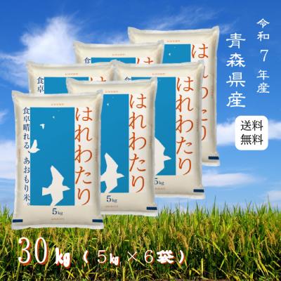 まっしぐら　はれわたり玄米30キロ　 令和7年産 はれわたり 玄米 30kg [53841711] | 青森県鰺ヶ沢町