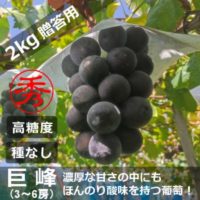 クール便　巨峰1箱+大玉2箱 クール便 巨峰1箱+大玉2箱