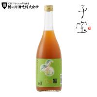 楯の川酒造 子宝 プレミアムリッチ梅酒 720ml | ebisu 塩田屋 酒Net