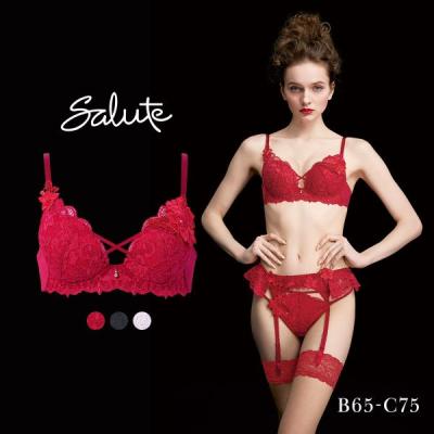 salute サルート　ブラジャー ショーツ セット　82G　82グループ　GB salute サルート ブラジャー ショーツ セット 82G 82グループ GB