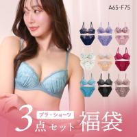 ブラジャー ショーツ 3点セット 福袋 選べる5タイプ おまかせ 刺繍 レース おしゃれ シンプル ABCDEF 大きいサイズ | SHIROHATO(白鳩)