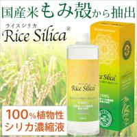 植物性シリカ濃縮液 ライスシリカ（500ml） クレディ | PURE・HEART　自然館