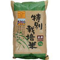 特別栽培米・新篠津あやひめ 玄米（5kg） ムソー 2023年度産 | PURE・HEART　自然館