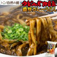 カレー うどん 超メガ盛り 460g 淡路島たまねぎたっぷりのうどんバカ店長の濃厚カレーうどん  爆買 | 美味しさは元気の源 自然の館