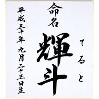 命名紙 半紙判 結納屋さんの毛筆手書き命名書 Nm0031 結納屋さん 通販 Yahoo ショッピング