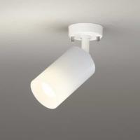 OS256558LR オーデリック スポットライト 白熱灯器具100W相当 電球色 2700K 拡散配光112° | 照明デポ