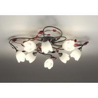 OC257025BR オーデリック シャンデリア 〜8畳用 電球色〜昼光色 Bluetooth調光・調色可能 | 照明デポ