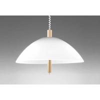 OP087150NR オーデリック ペンダントライト 白熱灯器具100W×2灯相当 昼白色 引掛シーリングタイプ | 照明デポ