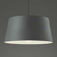 OP252132LR オーデリック ペンダントライト 白熱灯器具100W相当 電球色 引掛シーリングタイプ | 照明デポ