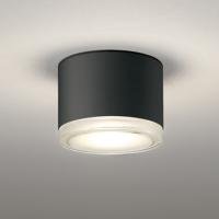 OR037038 オーデリック 非常灯 白熱灯器具100W相当 電球色 防雨型 | 照明デポ