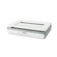 エプソン フラットベッドスキャナー A3600dpi DS-50000 1台 | SHOPイーアスYahoo!店