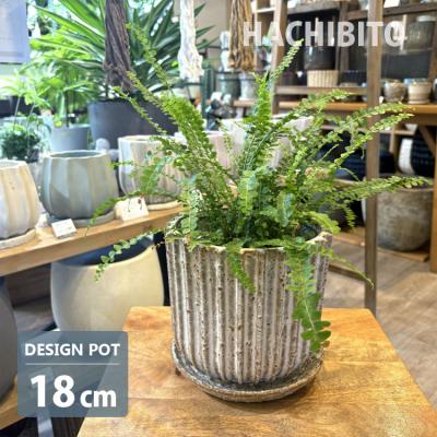 鉢 陶器 植木鉢 6号の商品一覧 通販 - Yahoo!ショッピング