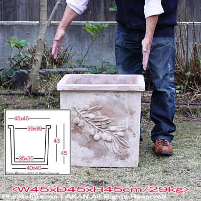 テラコッタ 鉢 スクエア（植木鉢）｜鉢、プランター｜園芸用品 | 花