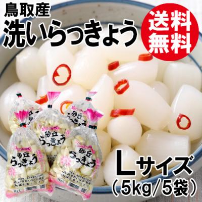 ラッキョウのおすすめ人気ランキングTOP100 - Yahoo!ショッピング