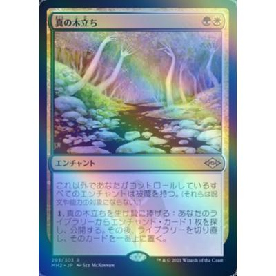 ツクモヤ ヤフー店 - エッチングFOIL(JP)｜Yahoo!ショッピング
