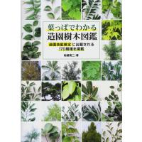 葉っぱでわかる造園樹木図鑑 造園技能検定に出題される170樹種を掲載 | SHOP EVERGREEN