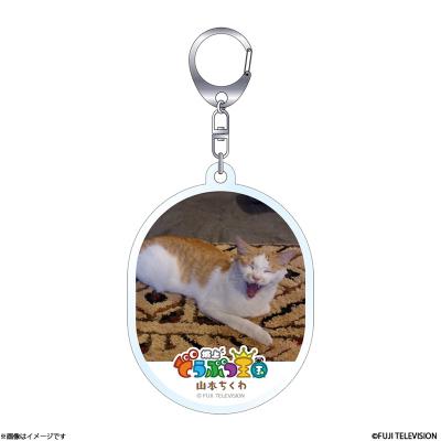 ちくわ キーホルダーのおすすめ人気商品一覧 通販 - Yahoo