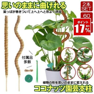 モスポールのおすすめ人気商品一覧 通販 - Yahoo!ショッピング