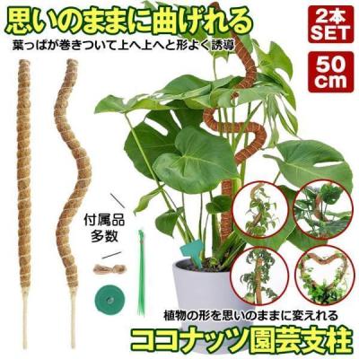 園芸用支柱のおすすめ人気商品一覧 通販 - Yahoo!ショッピング