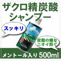 サニープレイス ザクロ精炭酸 シャンプー 500ml 父の日 ギフトに プレゼントに | ショップループ