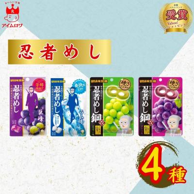 忍者めし（スナック、お菓子、おつまみ） | 食品 のおすすめ人気商品