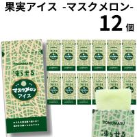 果実アイス マスクメロン シャーベット 詰め合わせ 送料無料 ジェラート アイスクリーム ジュース ソルベ ケース売り 12個セット パウチ | カップ麺とお菓子とチョコレートのお店 ロワ