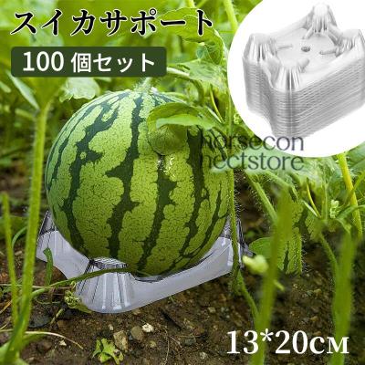 スイカの苗の商品一覧 通販 - Yahoo!ショッピング