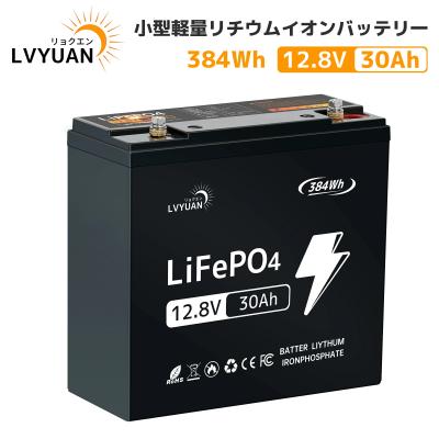 リン酸鉄リチウムイオンバッテリーのおすすめ人気商品一覧 通販 