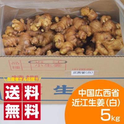 生姜種の商品一覧 通販 - Yahoo!ショッピング