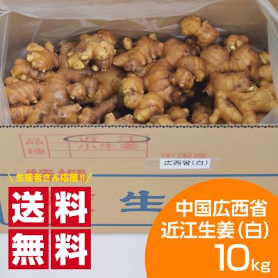 生姜種のおすすめ人気商品一覧 通販 - Yahoo!ショッピング