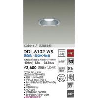 DDL-6102WS ダウンライト(軒下兼用) 大光電機 照明器具 ダウンライト DAIKO | 照明ポイント